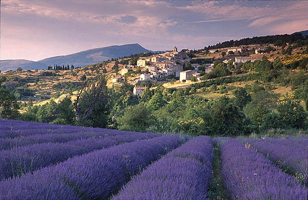 Aurel, Provence, France.