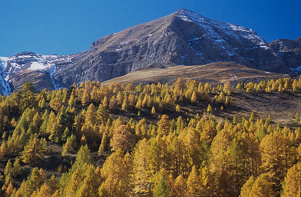 Vars, Hautes-Alpes, France.