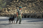 Transhumance time in the upper Valle de l'Ubaye, Alpes d'Haute Provence. (131kb)