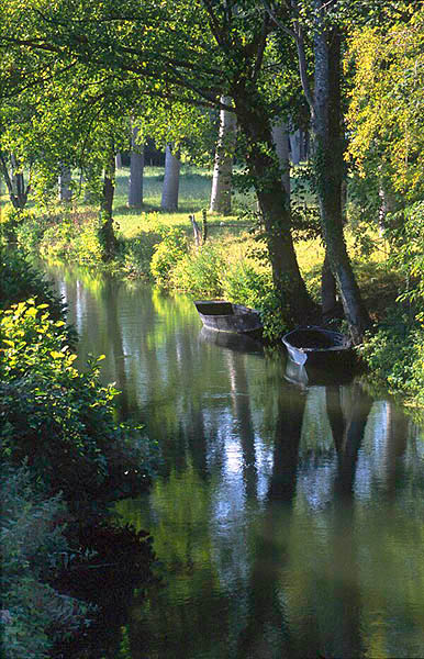 Creek near Couon, Marais-Poitevin, Deux-S�vres.