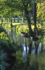 Creek near Coulon, Marais-Poitevin, Deux-S�vres. (113kb)