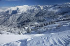 Fresh overnight snowfall, between Samo�ns and Les Carroz. (113kb)