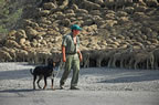 Transhumance time in the upper Vall�e de l'Ubaye, Alpes d'Haute Provence. (131kb)